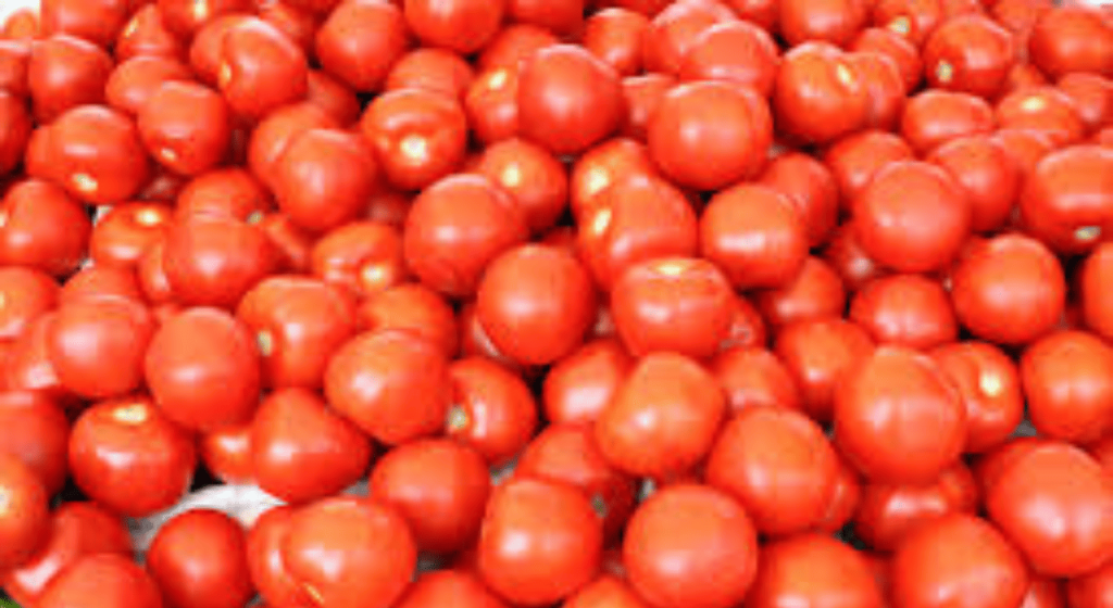 Farm Fresh Tomatoes